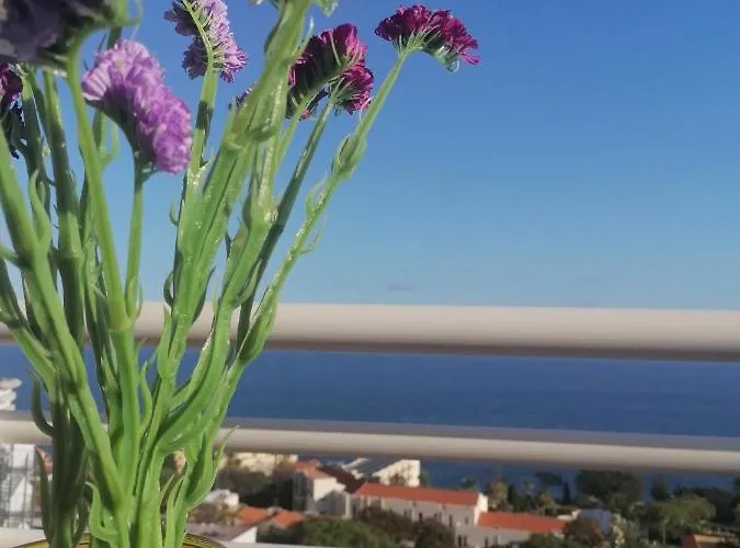 Lido Balcony Sea View *