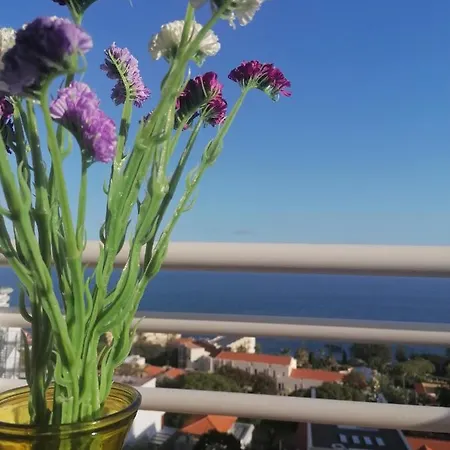 Lido Balcony Sea View *