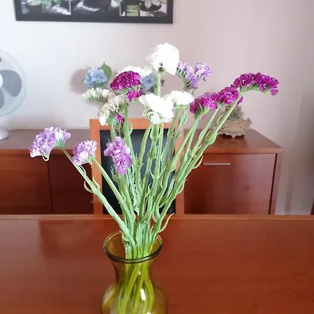 Lido Balcony Sea View Lejlighed