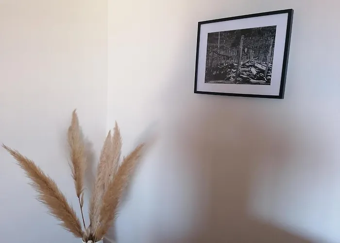 公寓 Lido Balcony Sea View 丰沙尔