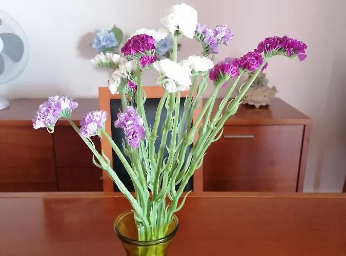 Lido Balcony Sea View 公寓